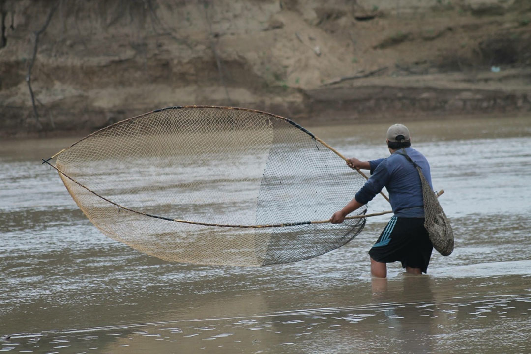 Un hombre pesca con su red