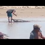 Indígenas Nivaclé pescan el río Pilcomayo