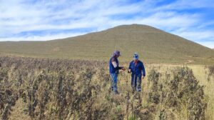 El campo no rinde: El Cambio Climático amenaza la seguridad alimentaria en la zona alta de Tarija